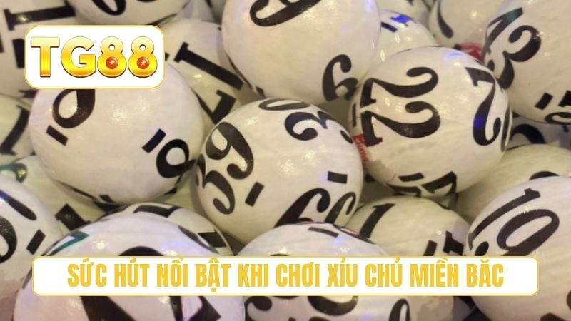 Sức hút nổi bật khi chơi xỉu chủ miền bắc